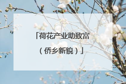 荷花产业助致富（侨乡新貌）