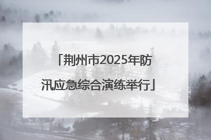 荆州市2025年防汛应急综合演练举行