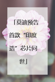 莫迪预告首款“印度造”芯片问世