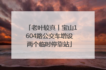 老叶较真丨宝山1604路公交车增设两个临时停靠站