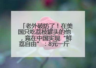 老外破防了！在美国只吃荔枝罐头的他，竟在中国实现“鲜荔自由”：8元一斤敞开吃！