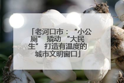 老河口市：“小公厕” 撬动 “大民生” 打造有温度的城市文明窗口