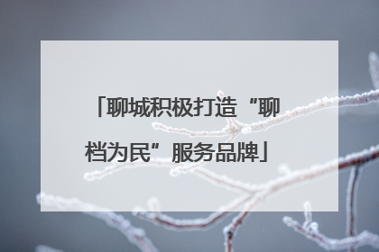 聊城积极打造“聊档为民”服务品牌