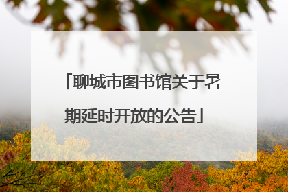 聊城市图书馆关于暑期延时开放的公告