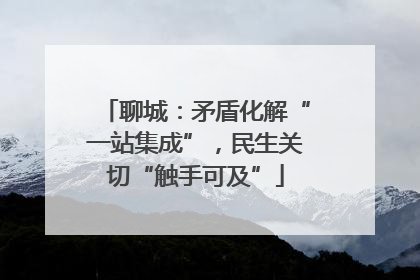 聊城：矛盾化解“一站集成”，民生关切“触手可及”