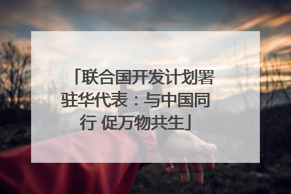 联合国开发计划署驻华代表：与中国同行 促万物共生