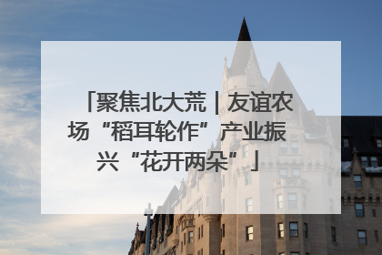 聚焦北大荒｜友谊农场“稻耳轮作”产业振兴“花开两朵”