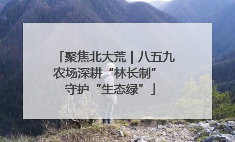聚焦北大荒｜八五九农场深耕“林长制” 守护“生态绿”