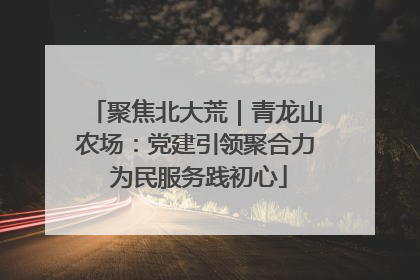 聚焦北大荒｜青龙山农场：党建引领聚合力 为民服务践初心