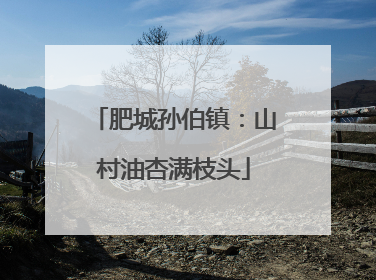 肥城孙伯镇：山村油杏满枝头