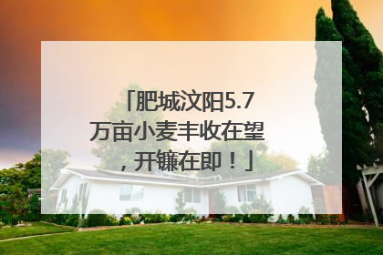 肥城汶阳5.7万亩小麦丰收在望，开镰在即！