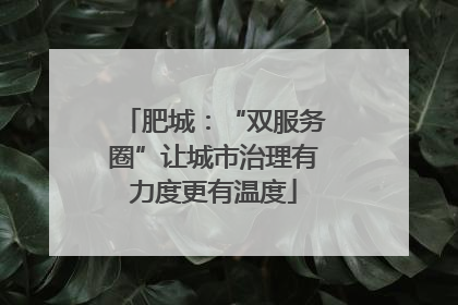 肥城：“双服务圈”让城市治理有力度更有温度