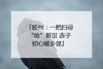 胶州：一把扫帚“绘”新景 赤子初心暖乡邻