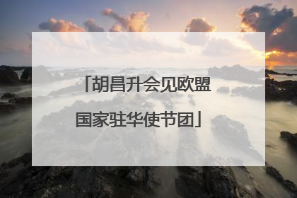 胡昌升会见欧盟国家驻华使节团
