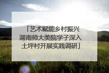 艺术赋能乡村振兴 湖南师大美院学子深入土坪村开展实践调研