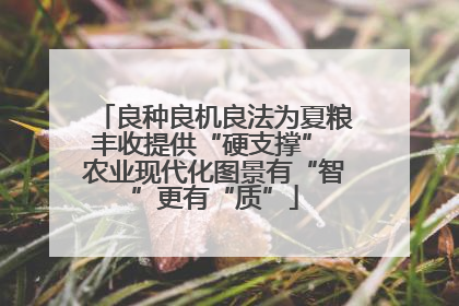 良种良机良法为夏粮丰收提供“硬支撑” 农业现代化图景有“智”更有“质”