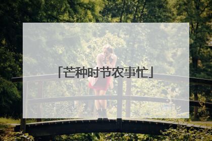 芒种时节农事忙