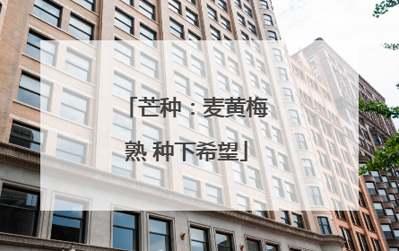 芒种：麦黄梅熟 种下希望