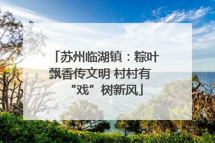 苏州临湖镇：粽叶飘香传文明 村村有“戏”树新风