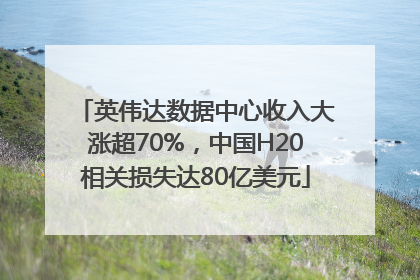 英伟达数据中心收入大涨超70%，中国H20相关损失达80亿美元