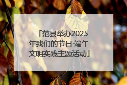 范县举办2025年我们的节日·端午文明实践主题活动