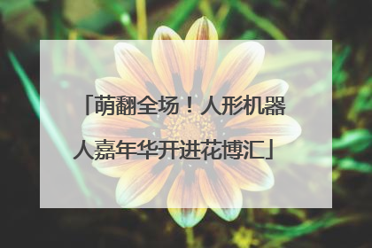 萌翻全场！人形机器人嘉年华开进花博汇