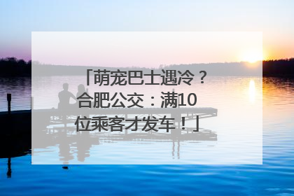 萌宠巴士遇冷？合肥公交：满10位乘客才发车！