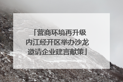 营商环境再升级 内江经开区举办沙龙邀请企业建言献策