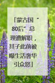 蒙古国“80后”总理遭解职，其子此前被曝生活奢华引众怒