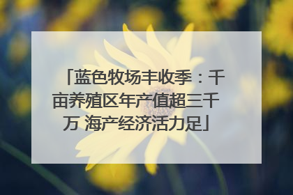 蓝色牧场丰收季：千亩养殖区年产值超三千万 海产经济活力足