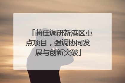蔺佳调研新港区重点项目，强调协同发展与创新突破