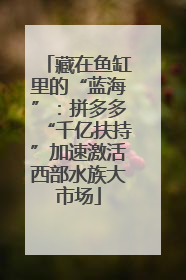 藏在鱼缸里的“蓝海”：拼多多“千亿扶持”加速激活西部水族大市场