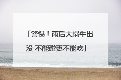 警惕！雨后大蜗牛出没 不能碰更不能吃