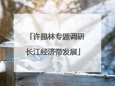 许昆林专题调研长江经济带发展