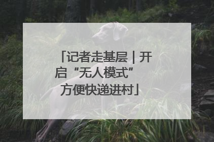 记者走基层｜开启“无人模式” 方便快递进村