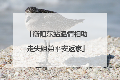 衡阳东站温情相助 走失姐弟平安返家