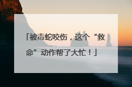 被毒蛇咬伤，这个“救命”动作帮了大忙！