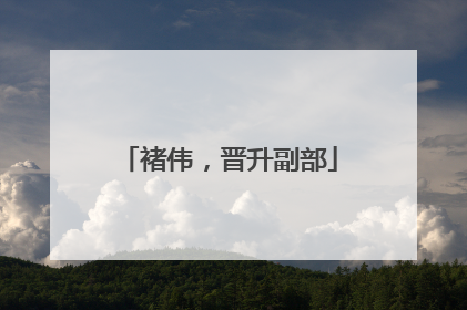 褚伟，晋升副部