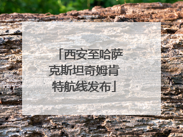 西安至哈萨克斯坦奇姆肯特航线发布