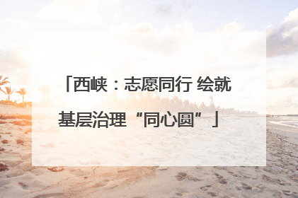 西峡：志愿同行 绘就基层治理“同心圆”