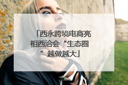 西永跨境电商亮相西洽会“生态圈”越做越大