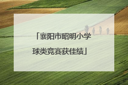 襄阳市昭明小学球类竞赛获佳绩