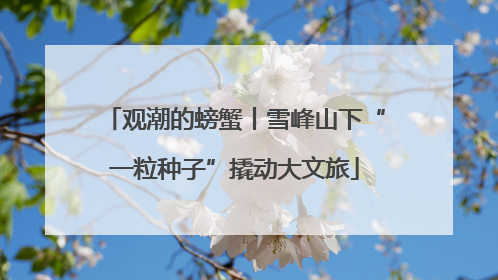 观潮的螃蟹丨雪峰山下“一粒种子”撬动大文旅