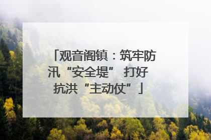 观音阁镇：筑牢防汛“安全堤” 打好抗洪“主动仗”
