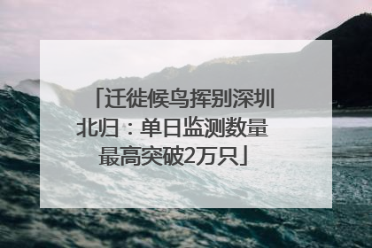 迁徙候鸟挥别深圳北归：单日监测数量最高突破2万只