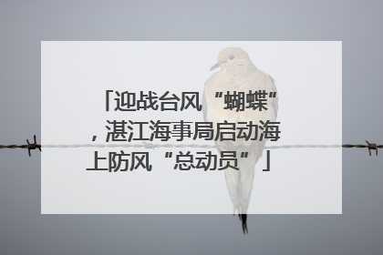 迎战台风“蝴蝶”，湛江海事局启动海上防风“总动员”