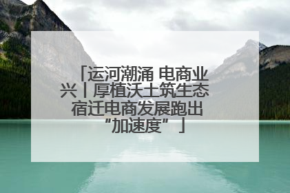 运河潮涌 电商业兴丨厚植沃土筑生态 宿迁电商发展跑出“加速度”