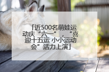 近500名萌娃运动庆“六一”，“喜迎十五运 小小运动会”活力上演