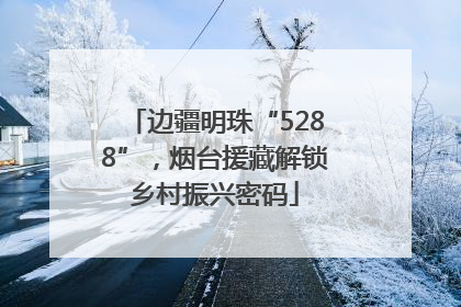 边疆明珠“5288”，烟台援藏解锁乡村振兴密码