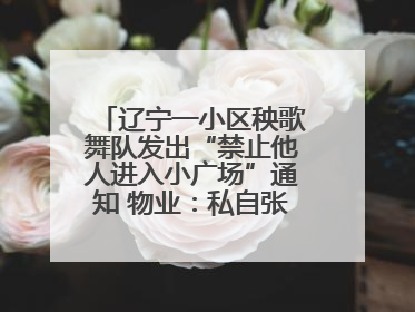 辽宁一小区秧歌舞队发出“禁止他人进入小广场”通知 物业：私自张贴，已撤掉